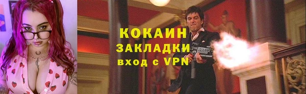 СК Бронницы