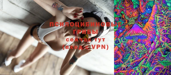 СК Бронницы