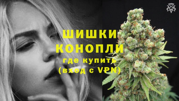 СК Бронницы