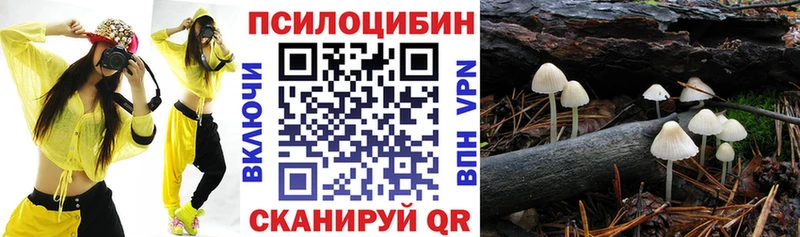 дарнет шоп Киренск мориарти как зайти Галлюциногенные грибы прущие грибы МЕГА сайт